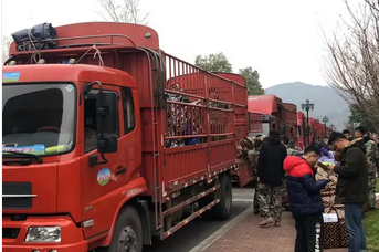 成都周边拉货,全国派车 成都周边拉货,全国派车