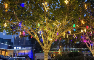 成都彩灯灯光亮化节日彩灯 成都彩灯灯光亮化节日彩灯